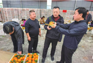 豪运国际-钻营健全-你我一路成长